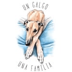Un galgo una familia